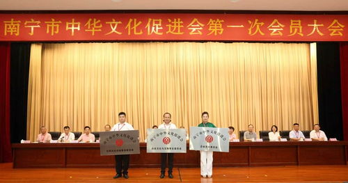 南宁市中华文化促进会揭牌成立，开启文化交流新篇章